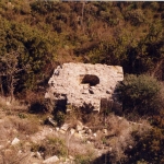 istoria_6