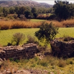 istoria_7